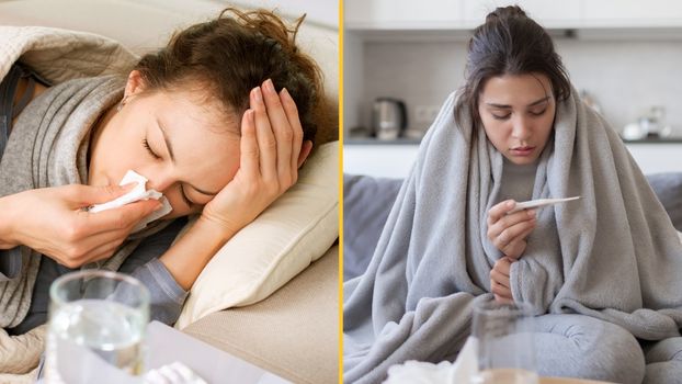 contagious bug norovirus