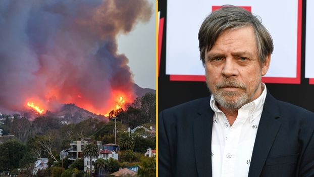 celebrity homes LA wildfires