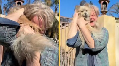 LA man reunites with lost dog after home was destroyed in wildfires